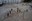 RIOT_Summit_35.jpg