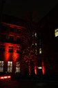 img-62.jpg