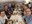 IMG_20250907_141146.jpg